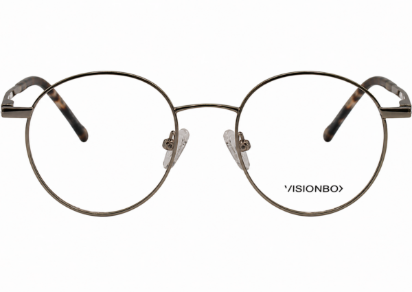 Visionox VB0072